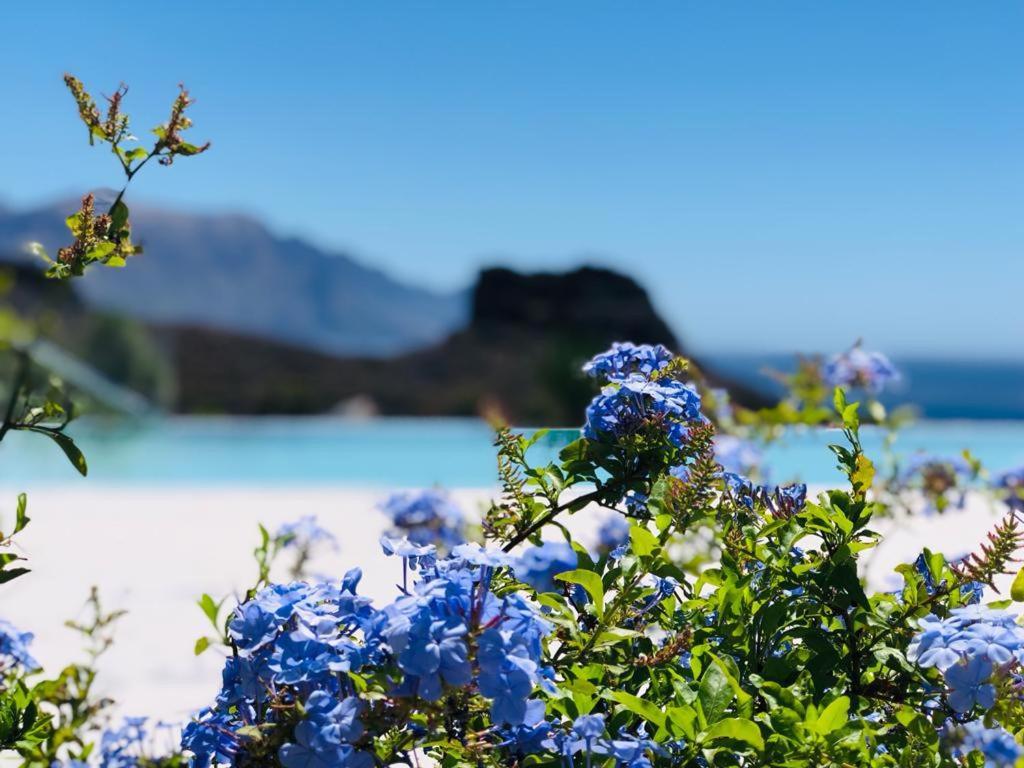 Puerto de las Nieves Paraisos De Agaete מראה חיצוני תמונה